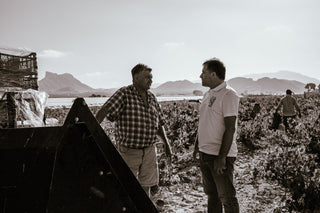 Bodegas Carchelo
