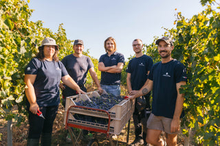 La Collina Dei Ciliegi