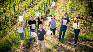 Weingut Nastl