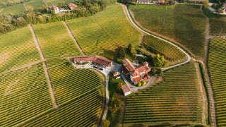 Nebbiolo Offers