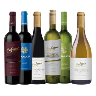 Argentina Discovery Box