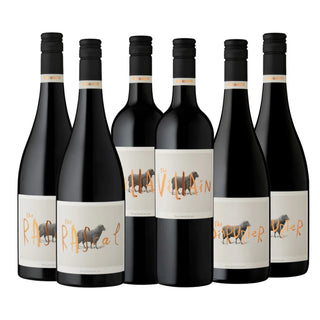 Hugh Hamilton Discovery Box