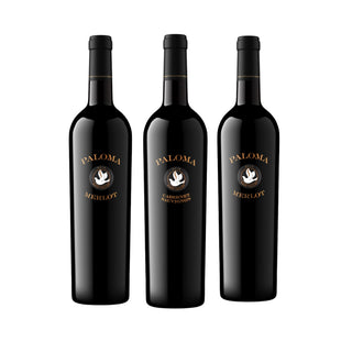 Paloma Discovery Box